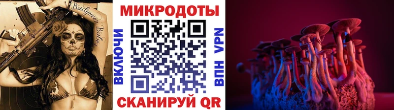 Галлюциногенные грибы GOLDEN TEACHER  наркотики  кракен вход  Дмитриев 